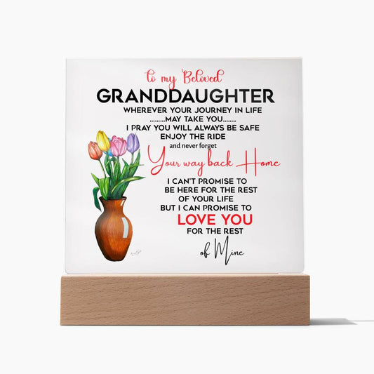 To My Beloved Granddaughter | I Pray You Will Always Be Safe to My Beloved | Acrylic Square Plaque